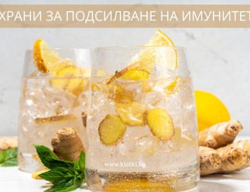 5 Храни за подсилване на имунитета