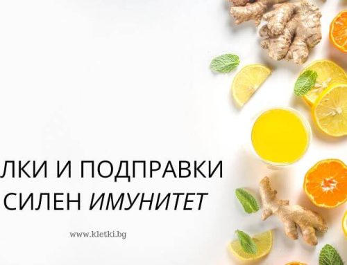 Ето кои билки и подправки подсилват имунитета