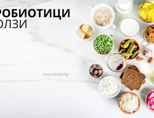 Пробиотици – ето защо са важни за здравето